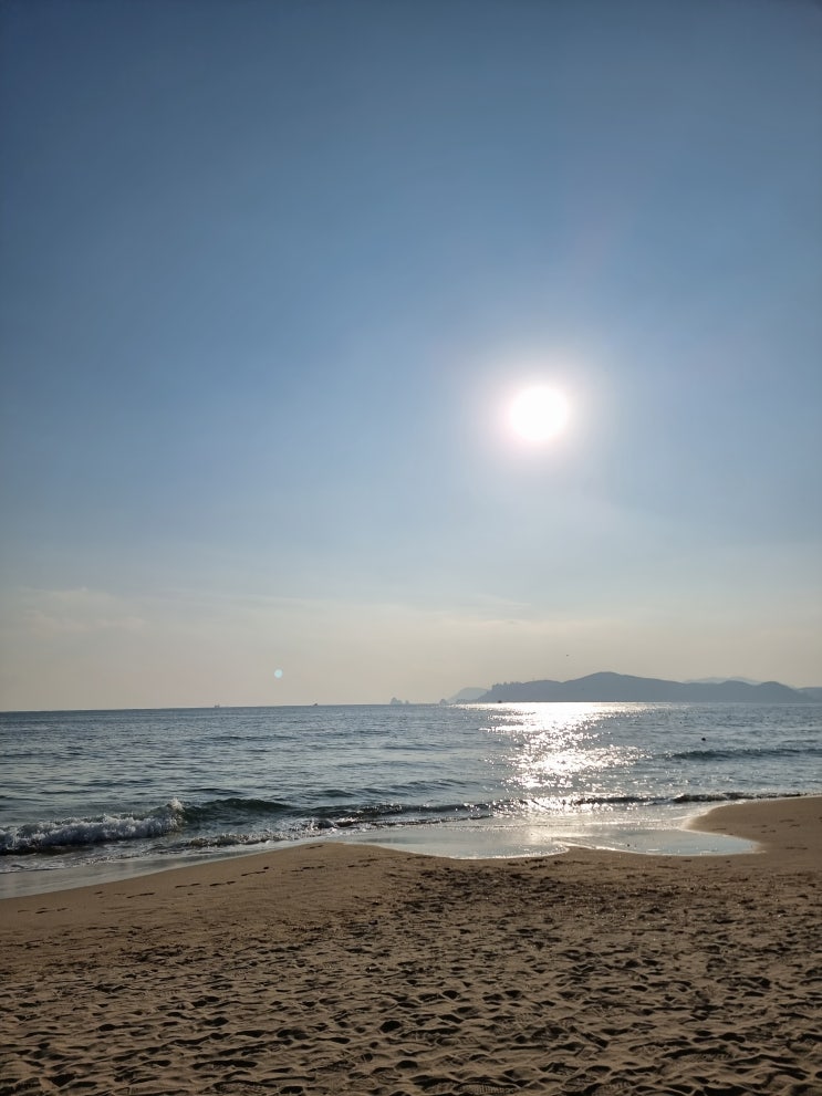  [시] 사랑하는 마음 내게 있어도