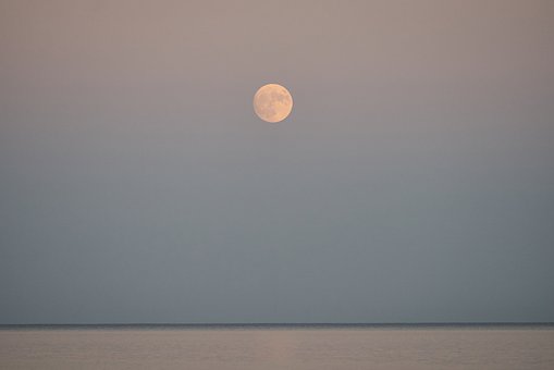  켈리 폭스/주간 별자리 운세/2023년 1월 23일~29일/물병·물고기·양·황소자리