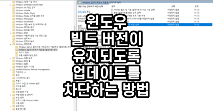  윈도우 빌드 버전이 유지되도록 업데이트를 차단하는 방법