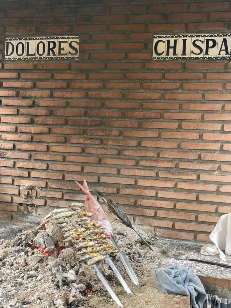  [스페인/네르하] Dolores El Chispa