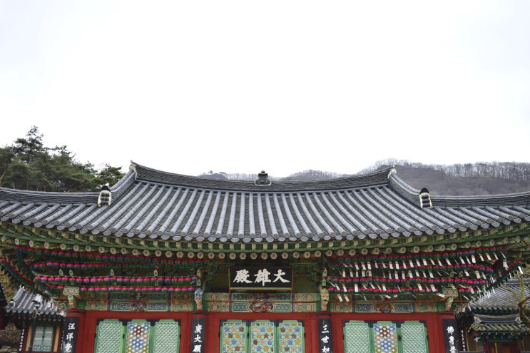  전남 영광군 / 백제 최초의 절 불갑사에서의 1박2일