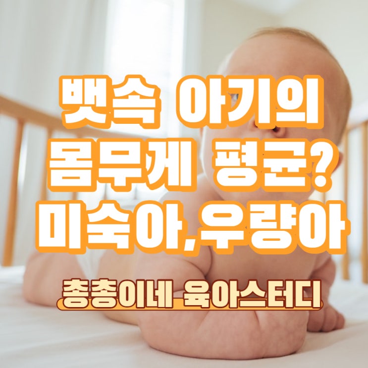  뱃속 태아의 몸무게 평균은 ? 아기 주수별 미숙아 우량아 문제점