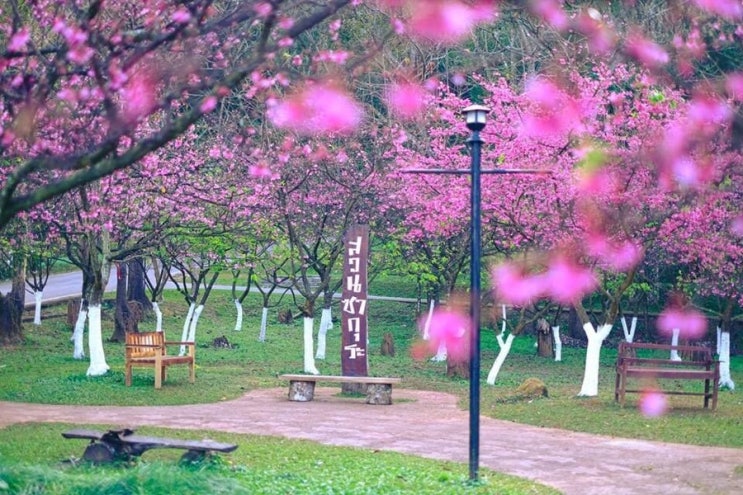  태국 방콕