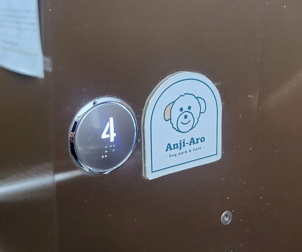 안지아로 사진 3