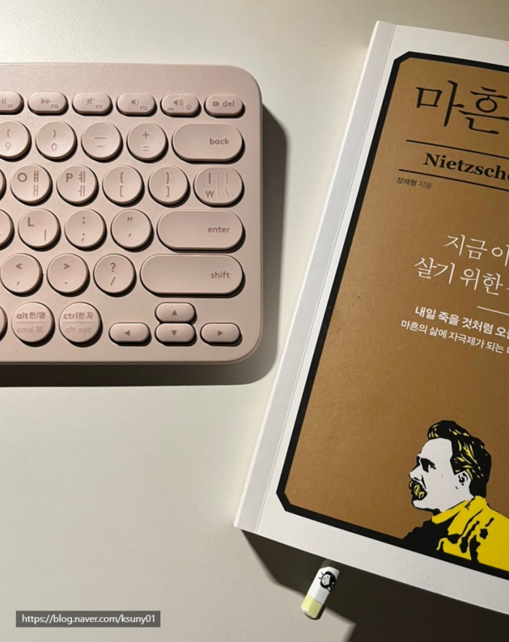  마흔 일기 :: 내일 죽을 것처럼 오늘을 사랑하라