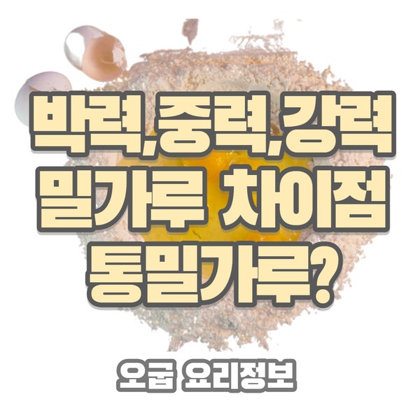  박력,중력,강력 밀가루와 통밀 뭐가 다르죠? 차이점 단점 보관방법