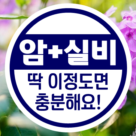 30대 암보험 가입과 30대실비보험 추천, 난 이 정도면 충분해!