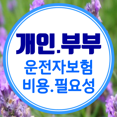  개인 및 부부운전자보험 비용과 필요성 가벼운 마음으로 알아보세요.