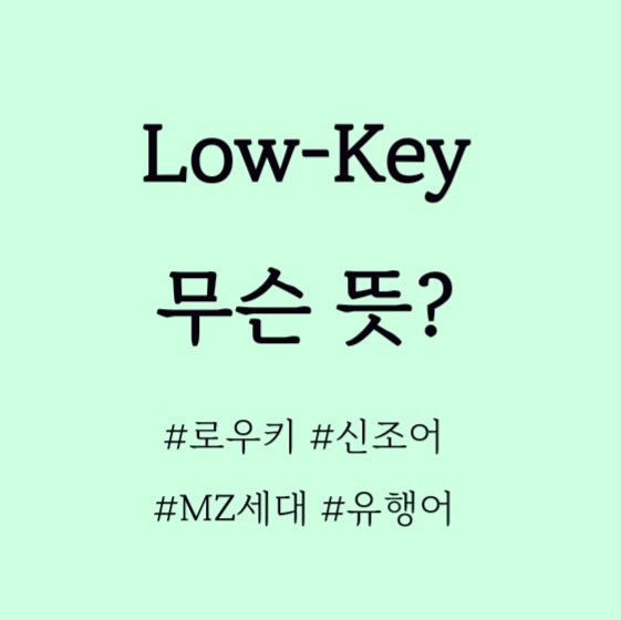  LOWKEY무슨뜻?, MZ세대 신조어 영어유행어, 로우키뜻?
