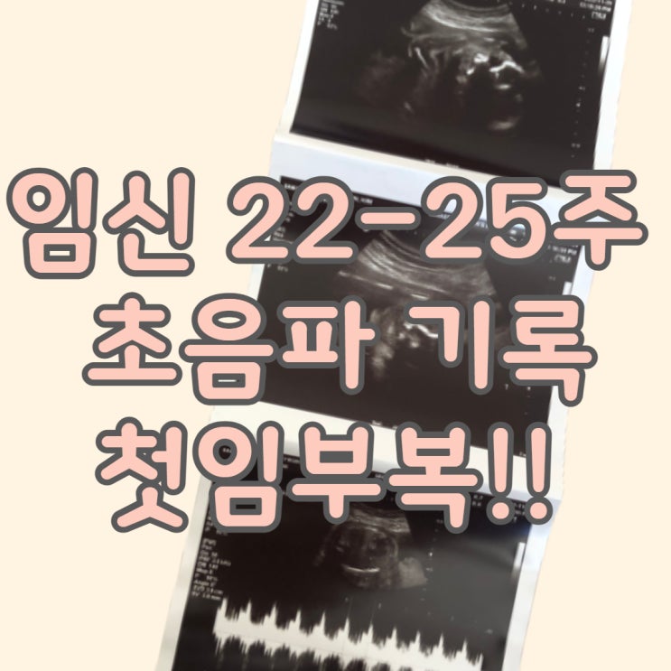 임신 기록 22주차 - 25주차 초음파 첫 임부복 준비 기록