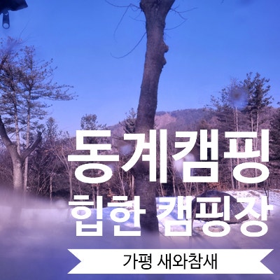  [캠핑일기] 반려동물이 동반 캠핑장 / 가평 새와참새