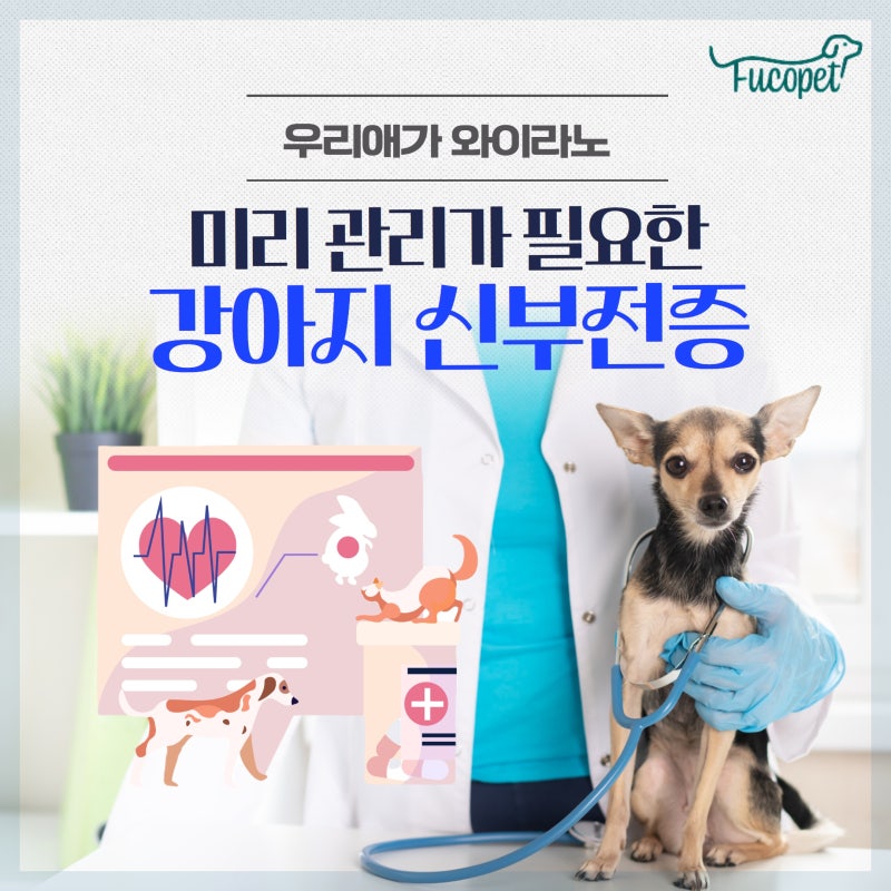 25th. 강아지 신부전 영양제, 강아지 신부전증 증상