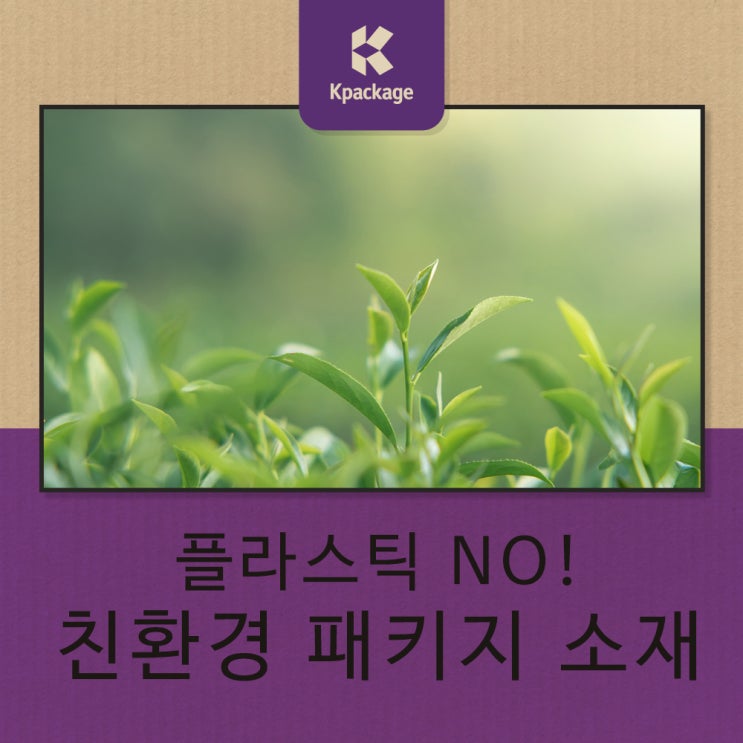  친환경 패키지 제작을 위한 친환경 재료 5가지 소개