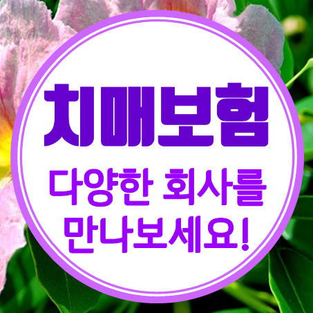  경증치매보험 가격 및 보장 등 다양한 치매보험비교 해보고 결정하세요.