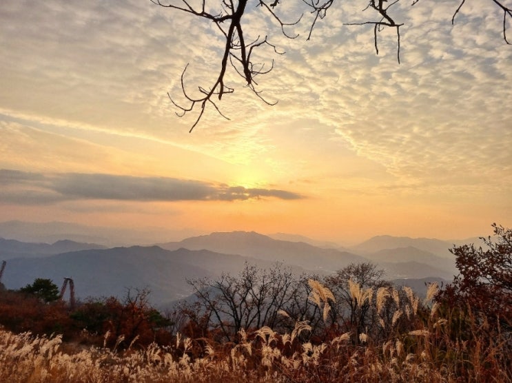  요즘 돼일리~