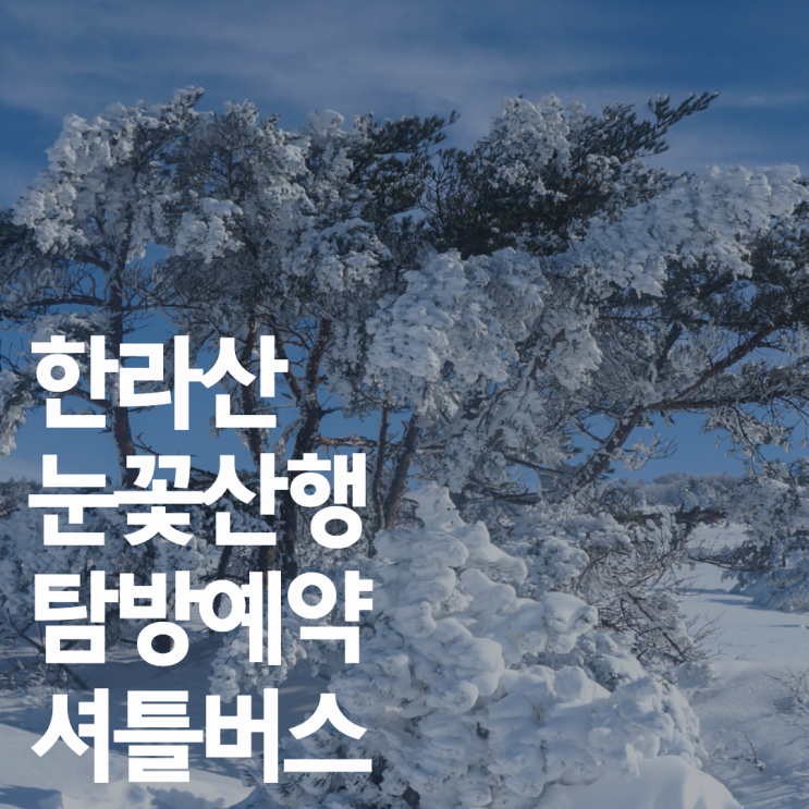  제주 한라산 눈꽃산행 탐방예약 / 셔틀버스 / 준비물 / 대중교통 꿀팁까지!(+한라산 설경버스 운행정보)