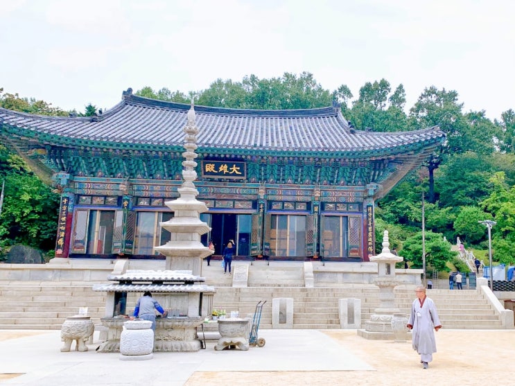  서울 도심 가볼 만한 곳_코엑스 옆_봉은사