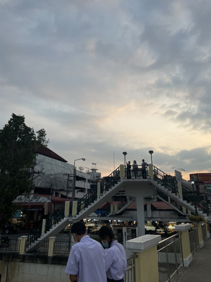 치앙마이 [팟카파오무쌉 맛집 탐방, 올드타운, 방콕으로 출발]
