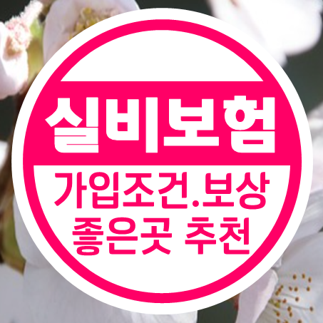  40대실비보험 가입조건 및 보상 좋은 40대실손보험 추천 받아보세요.