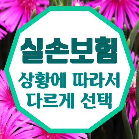  60대실손보험 상황에 따라 회사가 달라질 수 밖에 없다.