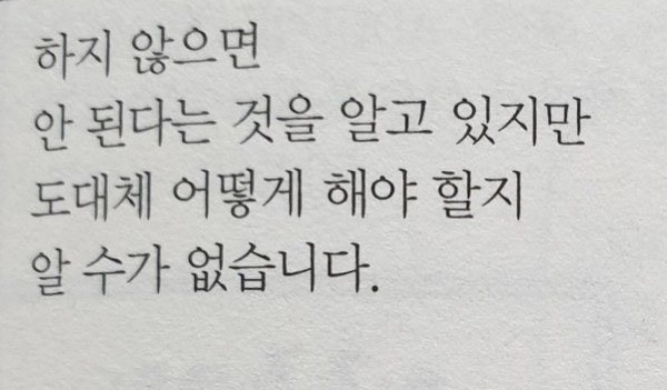 어떤 마음은 짖굿게 피어나요