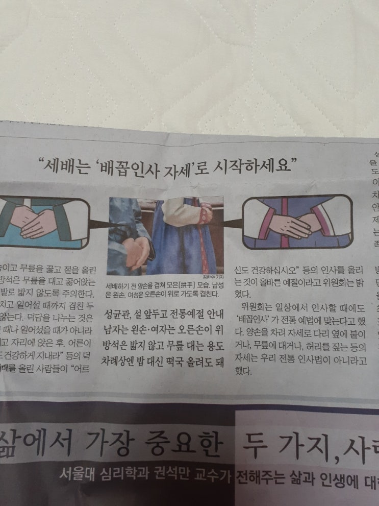  세배하는방법?