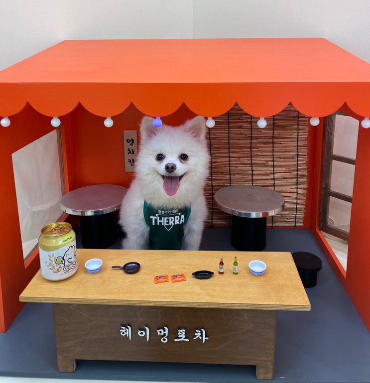  [룩또]이번주 1051회 로또 당첨번호 조합 추천