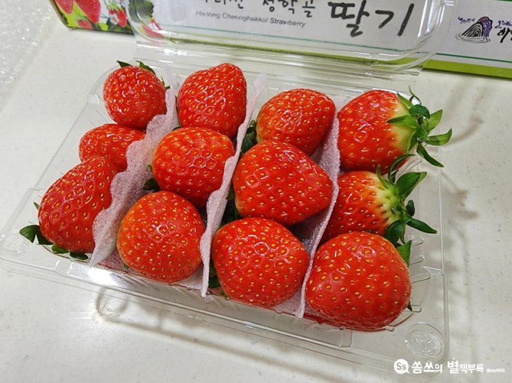  하동 설향딸기 과일대저택 과일맛집으로 정했다