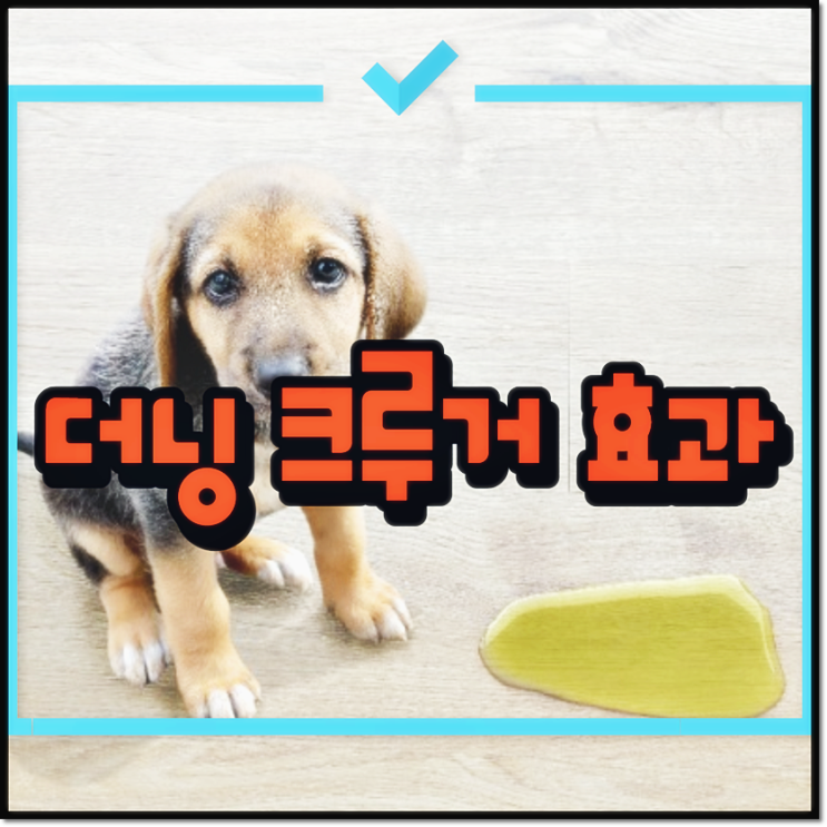  더닝 크루거 효과 뜻 의미 무지 무능 잘못된 심리 결론!