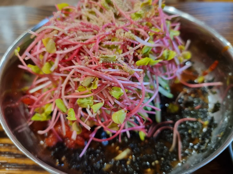  내돈내산 : 원조 중앙 탑 막국수 오창점 새싹막국수 명태식혜 막국수 원조중앙탑막국수