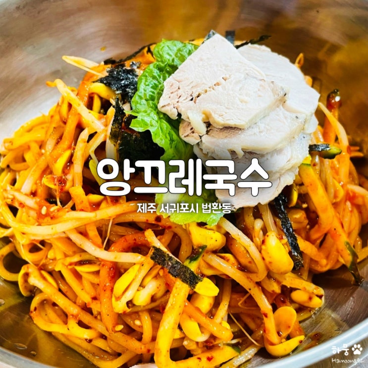  제주 서귀포 고기국수 맛집 법환동 앙끄레국수