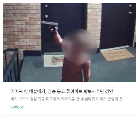 기저귀 찬 네살배기, 권총 들고 美아파트 활보…주민 경악 기저귀 찬 네살배기, 권총 들고 美아파트 활보…주민 경악