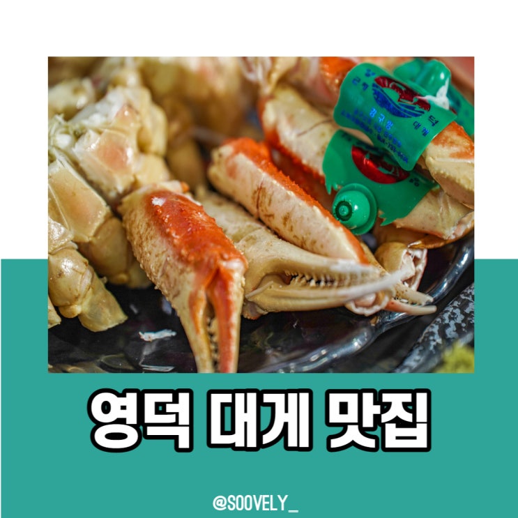  영덕대게맛집추천 남은대게 완벽한 맛집 선택