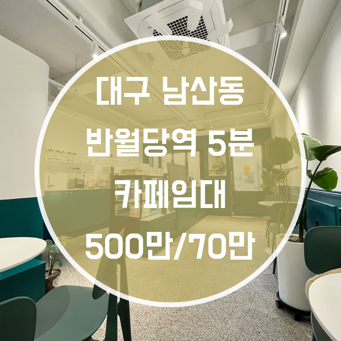 대구 중구 남산동 / 상가 임대 현카페 16평으로된 이쁜인테리어의 상가