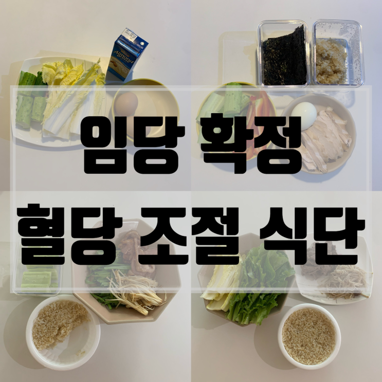  임신 26주 증상/임당 재검, 임당 확정/임산부 임당 식단/혈당 조절 식단/임당 관리 팁/임당 재검 수치/임당에 좋은 음식 추천