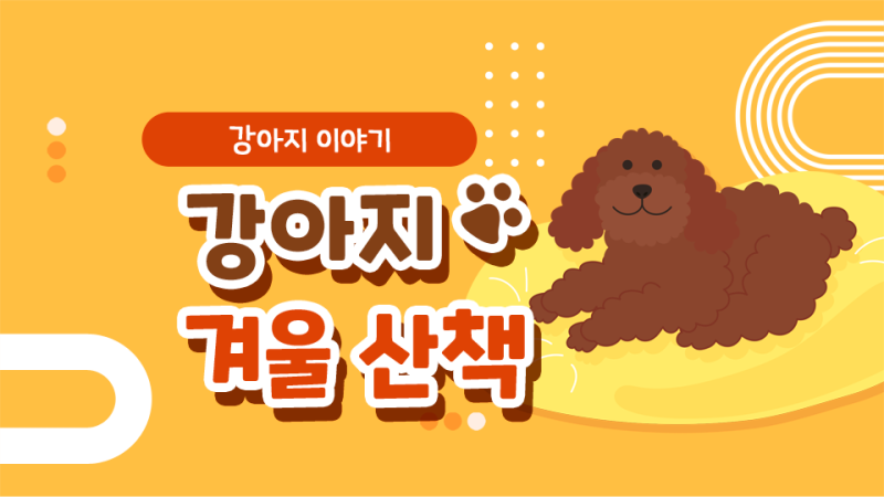 겨울철 개 산책 주의사항/건조한 개 발 경고!