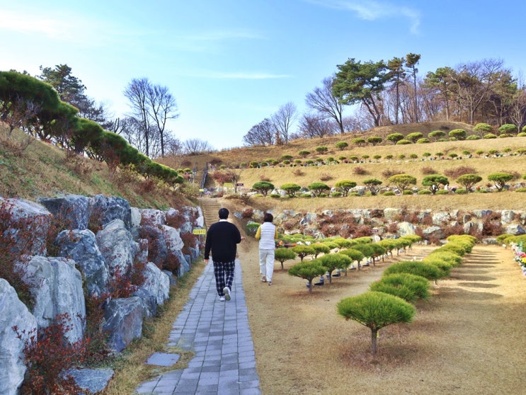  용인수목장 좋은 점이 무엇인가요
