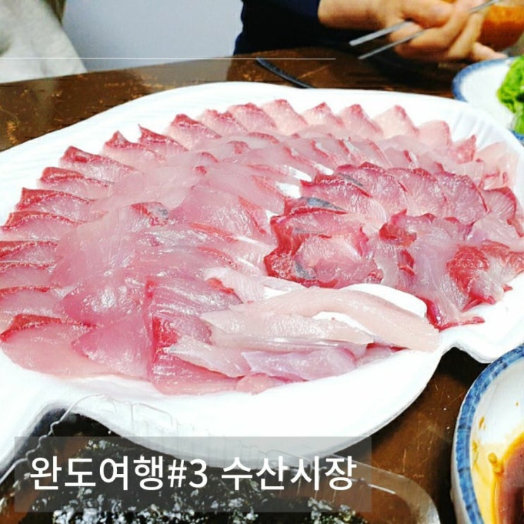  [완도수산시장] 우성어시장, 금일수협활선어위판장 방어회 구매