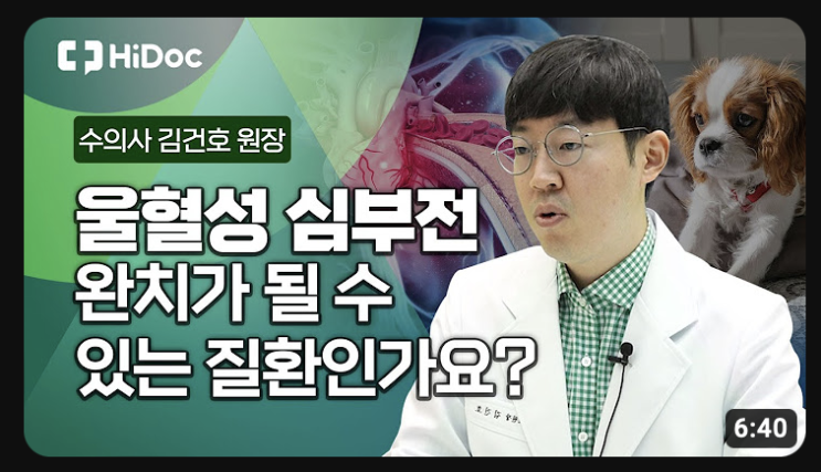  [대외활동] 김건호 내과 원장, 건강의학전문채널 전문가 인터뷰, 심장질환에 대해 반드시 알아야 할 기본은? - 24시 스탠다드동물의료센터
