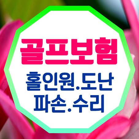  홀인원보험료 얼마인지 알아보고 도난 파손 수리 골프채보험 가입 해두세요.