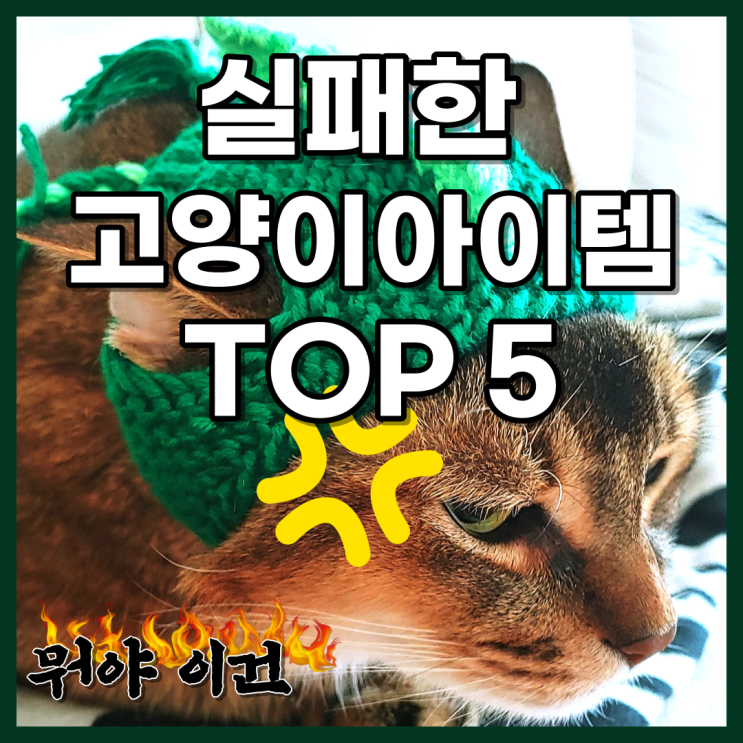  초보집사의 실패한 고양이아이템 top5