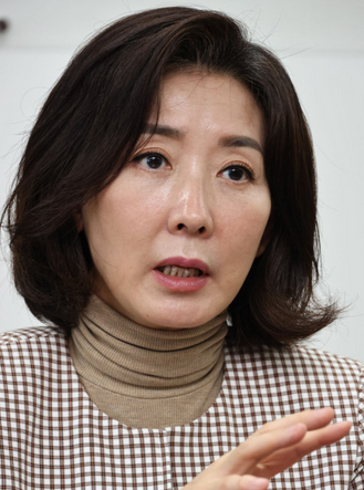  나경원 프로필 해임 이유 당대표 지지율