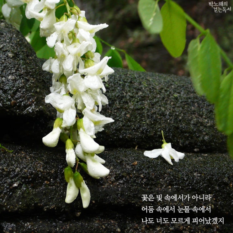 설명절 <b>인사말</b> / 설날 <b>새해 인사말</b> 문구 <b>좋은글</b> 명언 글귀 추천