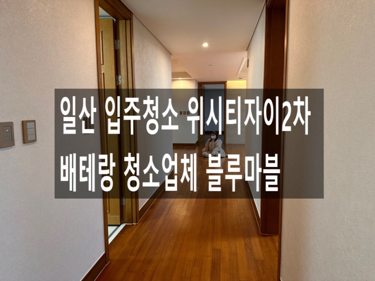  일산 입주청소 위시티자이2차 배테랑 청소업체 블루마블