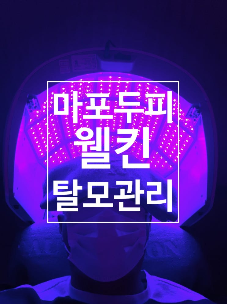  웰킨두피탈모센터 마포점 덕분에 촉촉해졌어요