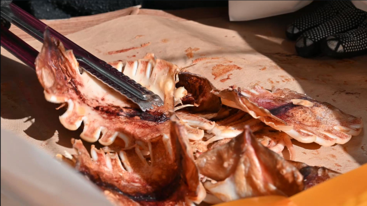 영덕 해안도로 2대째 덕장운영중인 맥반석 오징어 맛집 오바다