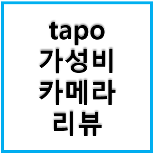  tapo - 가정용 CCTV, 반려동물 , 홈카메라 추천 리뷰, 내돈내산, C210, 300만화소