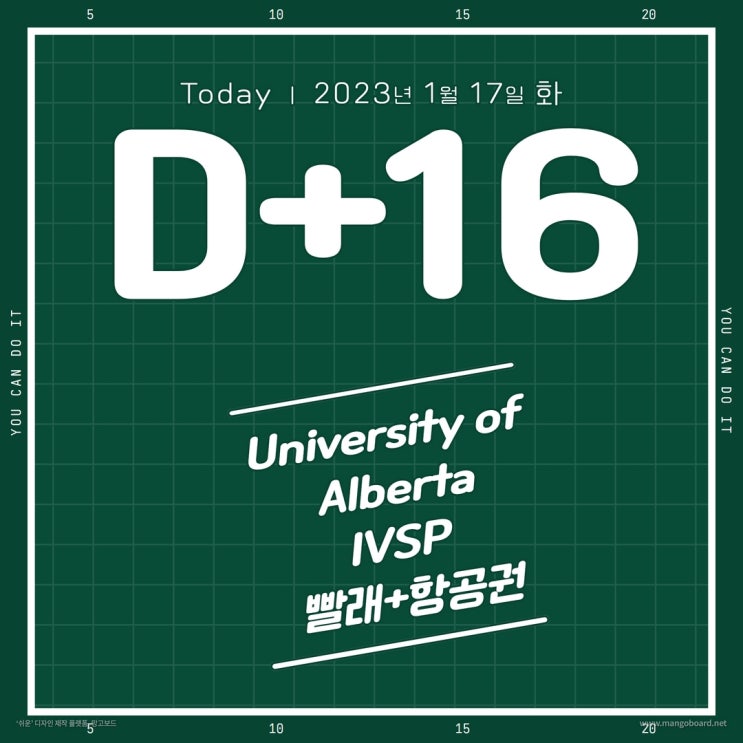  [앨버타 대학교 IVSP] D+16 빨래+항공권 (January 17, 2023)