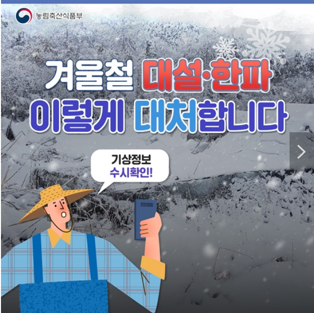 겨울철 대설·한파 이렇게 대처하세요! 농림축산식품부 겨울철 대설·한파 이렇게 대처하세요! 농림축산식품부