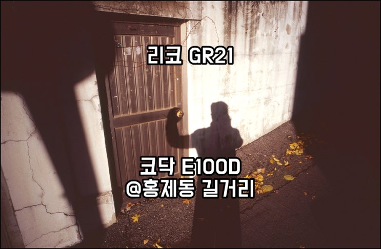  리코 Ricoh GR21｜코닥 E100D｜ 홍제동 요리조리 기웃기웃 슬라이드 필름사진 feat. 리코 gr21 선택한 이유